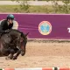 Казахстанские всадники взяли золото и два серебра в Польше