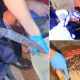 «Осталось от брата»: обрез, револьвер и 50 патронов нашли у жителя ВКО