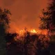 Пожар в одном из районов Алматы встревожил горожан
