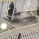 Жестокое избиение пенсионерки на остановке в Алматы: суд вынес приговор