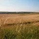 С помощью дрона и спутниковой связи искали пропавшего мужчину в Улытау