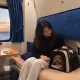 Кошку или собаку не пустят в поезд без этого: важные правила для пассажиров в Казахстане
