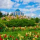 Более миллиона зеленых насаждений высадят в Астане в этом году