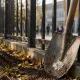 Школьный физрук с лопатой остановил мужчину с острым предметом под Атырау