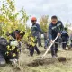 Инициатива работников получила поддержку «Казахмыса»: в Карагайлы высажено 400 деревьев
