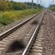 13 голов скота сбил пассажирский поезд в Акмолинской области