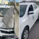 Сбивают знаки и врезаются в машины: что происходит на автодромах Казахстана
