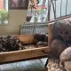 «Здесь было кладбище»: человеческие останки нашли на стройке в Петропавловске
