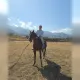 «Тариф морковка и яблоко»: Багдат Мусин подарил основателю inDrive коня