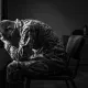 Воинские преступления в Казахстане: 363 пострадавших за восемь месяцев