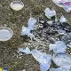 Мусор в горах Алматы: на Лунной Поляне показали заваленную отходами территорию