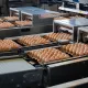 Шымкенттегі құс фабрикасы өндіріс қуатын кеңейтуде
