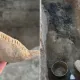 Следы пожара и загадочная птица: что нашли археологи в древней крепости Казахстана