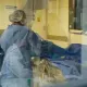 Казахстанцев призвали развивать посмертное донорство