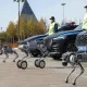 Роботы-собаки с ИИ и распознаванием лиц начали патрулировать Астану
