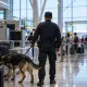 Два чемодана «сладостей» из Таиланда: казахстанке дали 16 лет за их содержимое