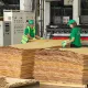 Эксперт рассказала о новых возможностях для бизнеса Шымкента
