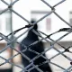Ревность закончилась убийством: в Шымкенте женщину отправили в тюрьму на 10 лет
