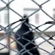 Заразил двух падчериц ВИЧ: павлодарца приговорили к пожизненному сроку