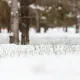 Заморозки до −8 градусов и снег ожидаются в Казахстане 26 октября