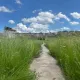 Странный обряд на кладбище в Астане обсуждаю казахстанцы