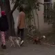 В Алматы начали проверку после видео с лисой на поводке