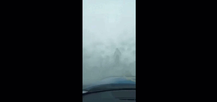 Кадр из видео
