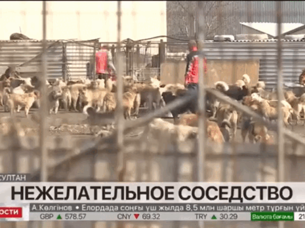 Кадр из видео