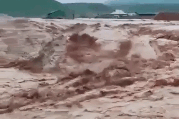 Фото: Кадр видео