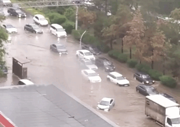 Кадр видео