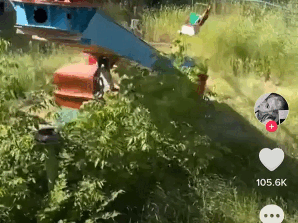 Кадр из видео