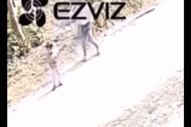 Кадр из видео