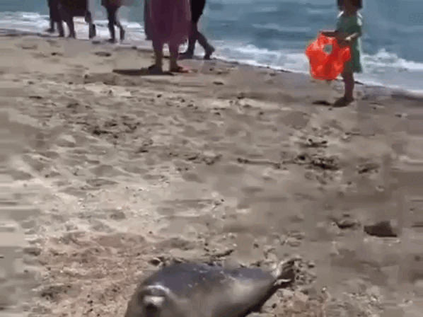 Кадр из видео