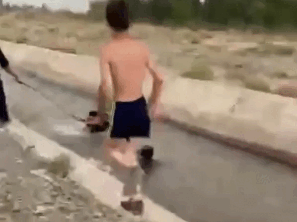 Кадр из видео