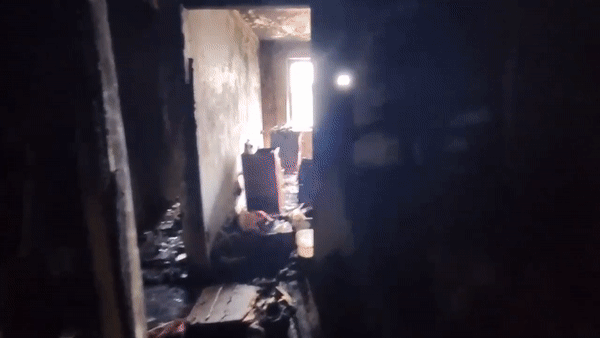 Gif - изображение