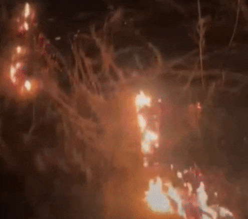 Gif - изображение