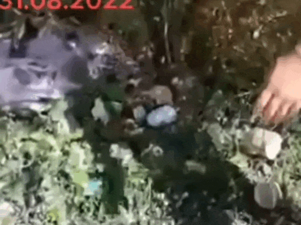 Кадр из видео