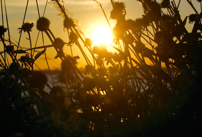 Источник: gifer.com