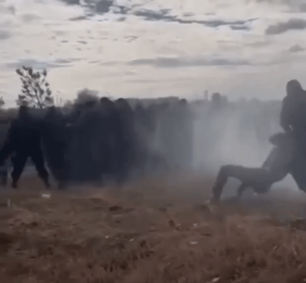 Gif - изображение