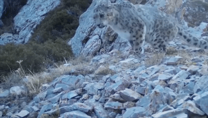 Кадр из видео