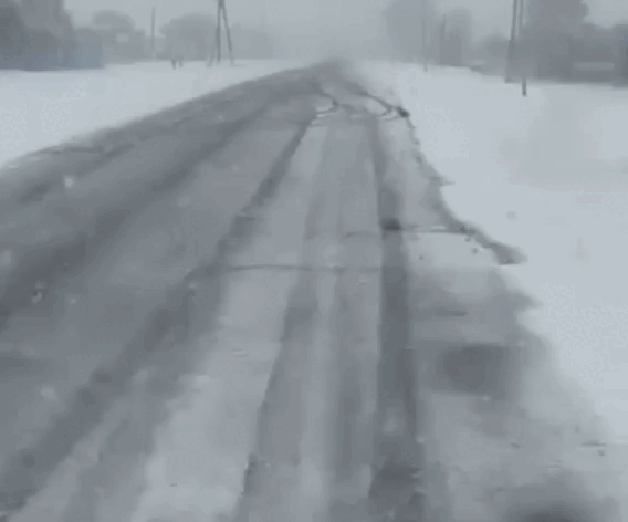 Фото: Кадр видео