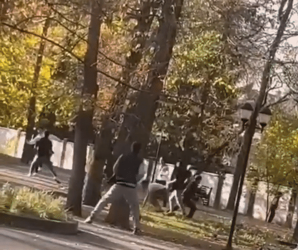 Gif - изображение