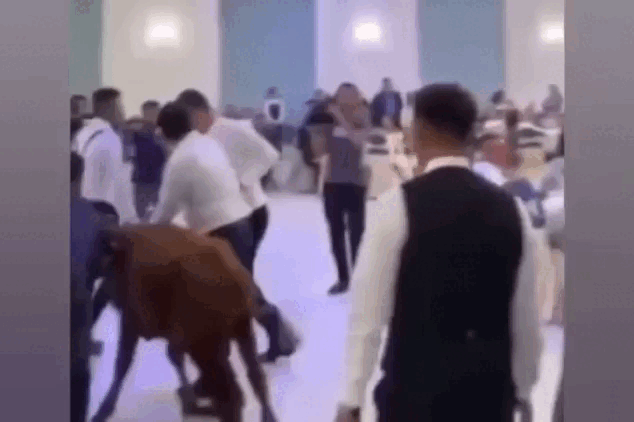 Кадр из видео