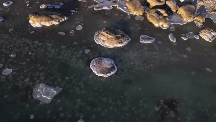 Кадр из видео