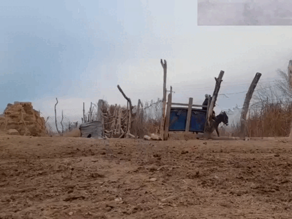 Кадр из видео