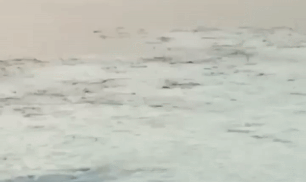 Gif-изображение